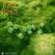 Набір кубиків The Lord of the Rings: Shire 10xD6 Dice Set