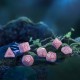 Набор кубиков Elvish Shimmering pink & White Dice Set (7)