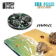 Water foam 30 мл Текстурная краска Green Stuff World