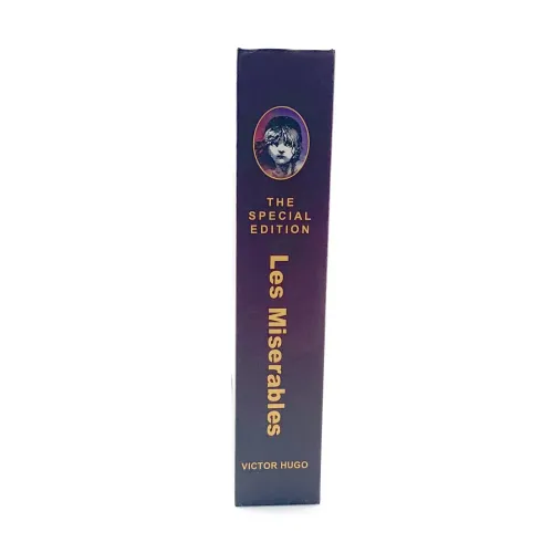 Книга-сейф "Les Miserables" 22х15х5,5 см, металл, пластик, разноцветный (DN32040B)