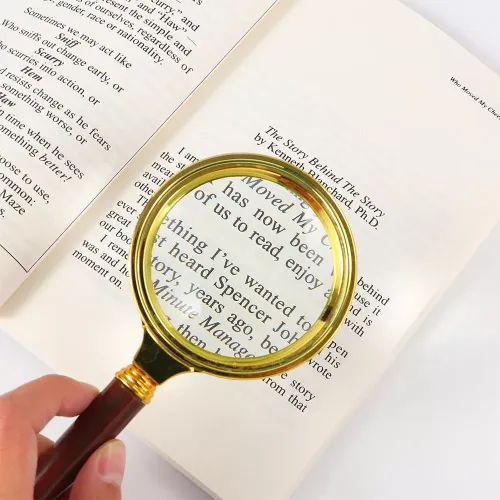 Компасы, лупы Универсальная лупа с ручкой, металл, пластик, коричневый, золотистый, кратность 3Х (d-7 см h-15,5 см) (DN29791)