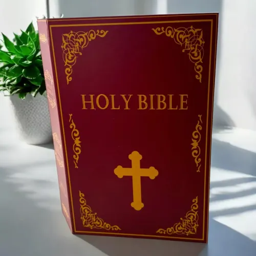Книга-сейф "Holy Bible" 24,5х16х5,5 см металл, пластик, коричневый (DN32007EN)