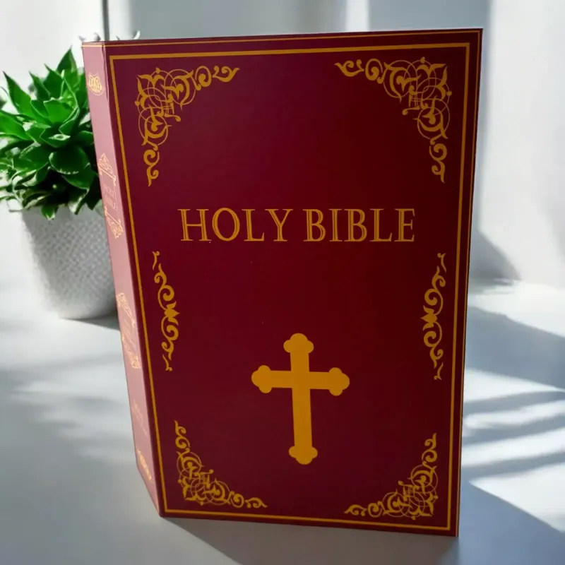 Книга-сейф "Holy Bible" 24,5х16х5,5 см метал, пластик, коричневий (DN32007EN)