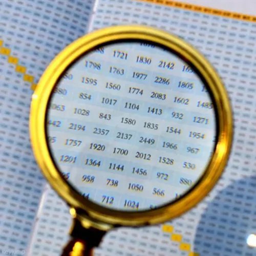 Компасы, лупы Универсальная лупа с ручкой, металл, пластик, коричневый, золотистый d-80 мм, кратность 10Х (DN26355)