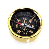Компас бронзовый диаметр 35 мм (DN33970) (DN33970)