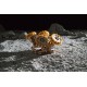 Лунный модуль NASA