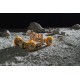 Лунный модуль NASA