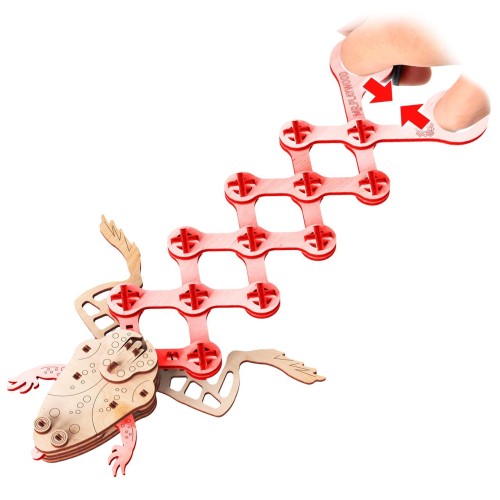 Mr.Playwood Жабеня конструктор механічний дерев'яний 3D 71 дет.