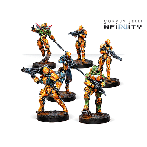 Invincible Army (Sectorial Starter Pack)