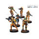 Invincible Army (Sectorial Starter Pack)