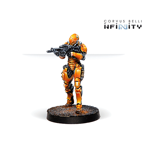 Invincible Army (Sectorial Starter Pack)