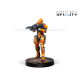 Invincible Army (Sectorial Starter Pack)