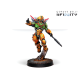 Invincible Army (Sectorial Starter Pack)
