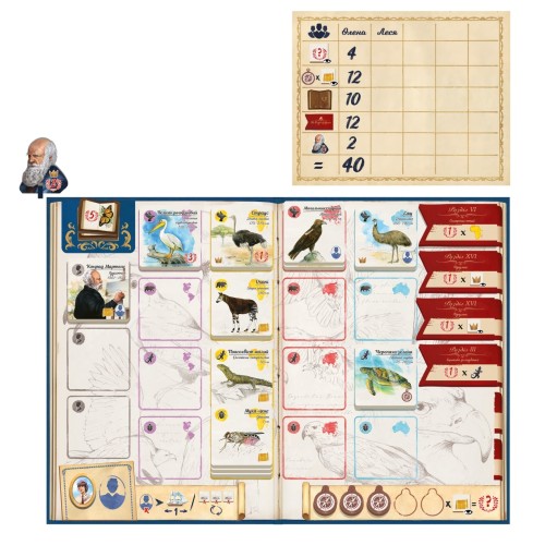 Настольная игра Следами Дарвина (In the Footsteps of Darwin) UA