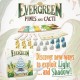 Настольная игра Evergreen: Pines and Cacti (Сосны и Кактусы)