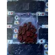 Загублені руїни Арнаку: Adventure Chest