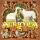 Настільна гра Agricola 15th Anniversary Box (Агрікола 15 Ювілейне видання)