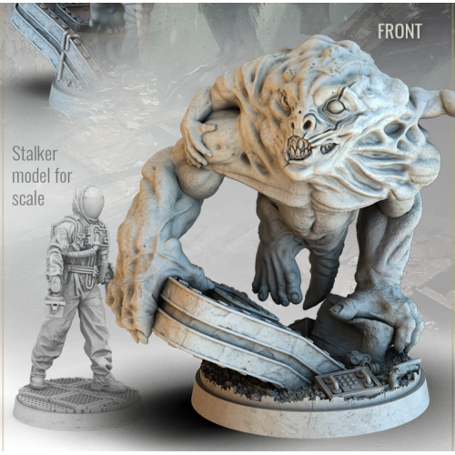 Настольная игра Дополнение S.T.A.L.K.E.R. Зональные угрозы