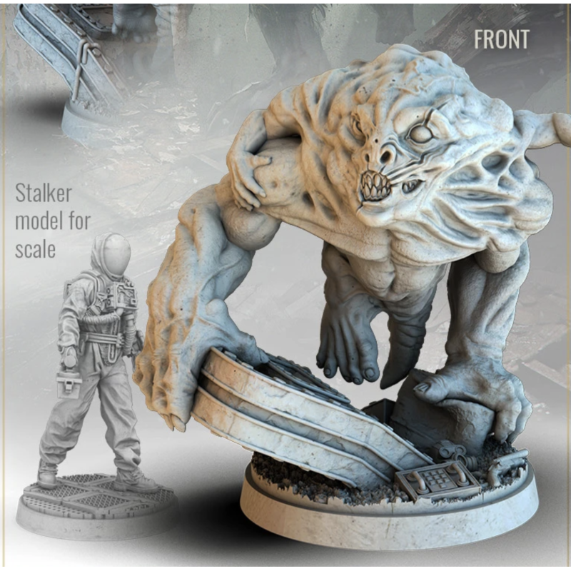 Настольная игра Дополнение S.T.A.L.K.E.R. Зональные угрозы