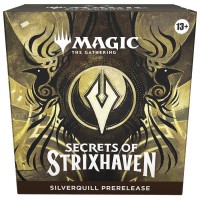 MTG - Secrets of Strixhaven Prerelease Display