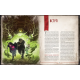 Настольная игра Зов Ктулху. Ужасы за вратами (Call of Cthulhu: Gateways to Terror)