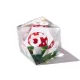 Сет дайсів 3D "Гриби"