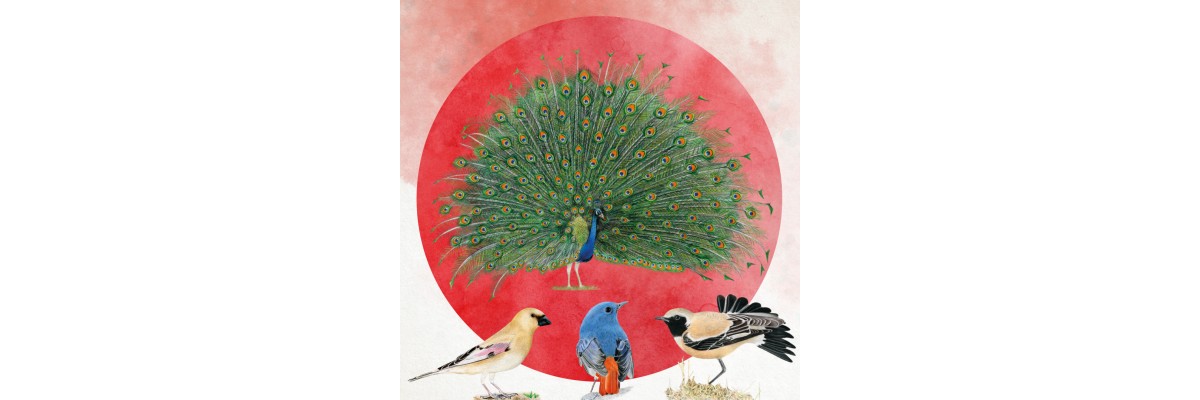 Передзамовлення на "Крила. Птахи Азії"