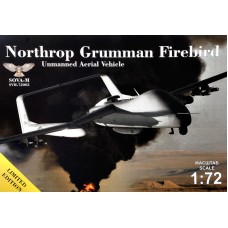 Беспилотный летательный аппарат Northrop Grumman Firebird