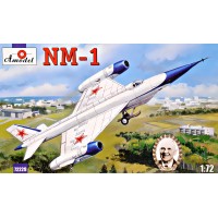 Дослідний літак-розвідник НМ-1 (NM-1)