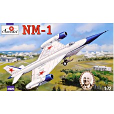 Дослідний літак-розвідник НМ-1 (NM-1)