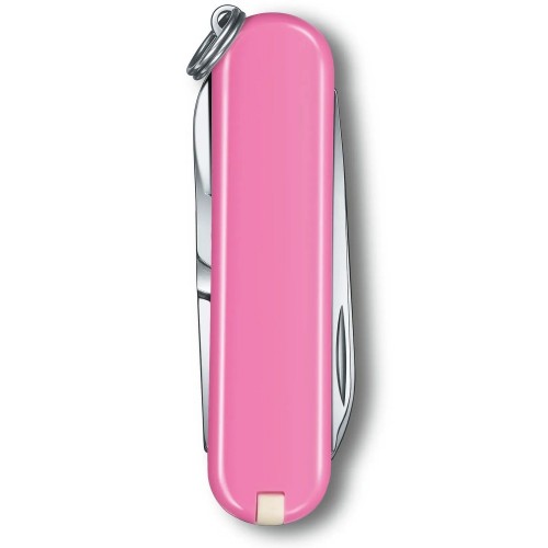 Швейцарский складной нож 58мм Victorinox CLASSIC SD Colors 0.6223.51G