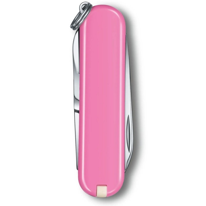Швейцарский складной нож 58мм Victorinox CLASSIC SD Colors 0.6223.51G