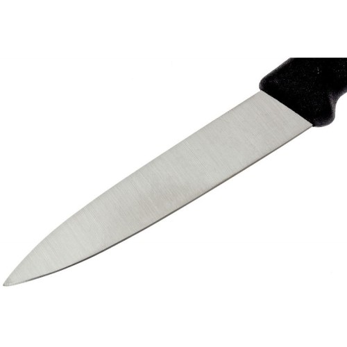 Набор ножей (2 шт) Victorinox SWISS CLASSIC Paring 6.7603.B