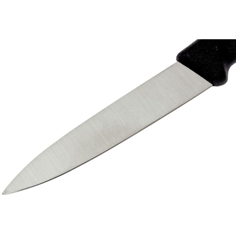 Набор ножей (2 шт) Victorinox SWISS CLASSIC Paring 6.7603.B