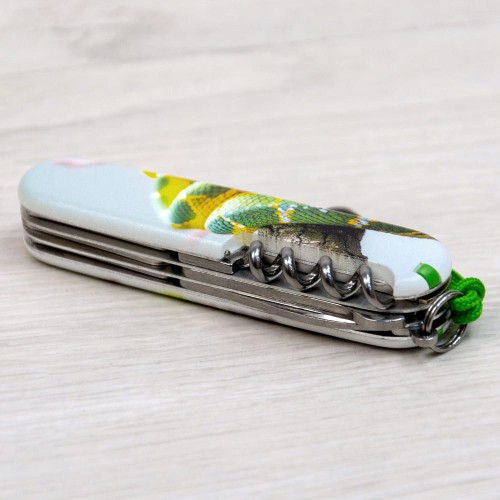 Складаний ніж Victorinox CLIMBER ZODIAC Зелена змія 1.3703.7.Z4270pk