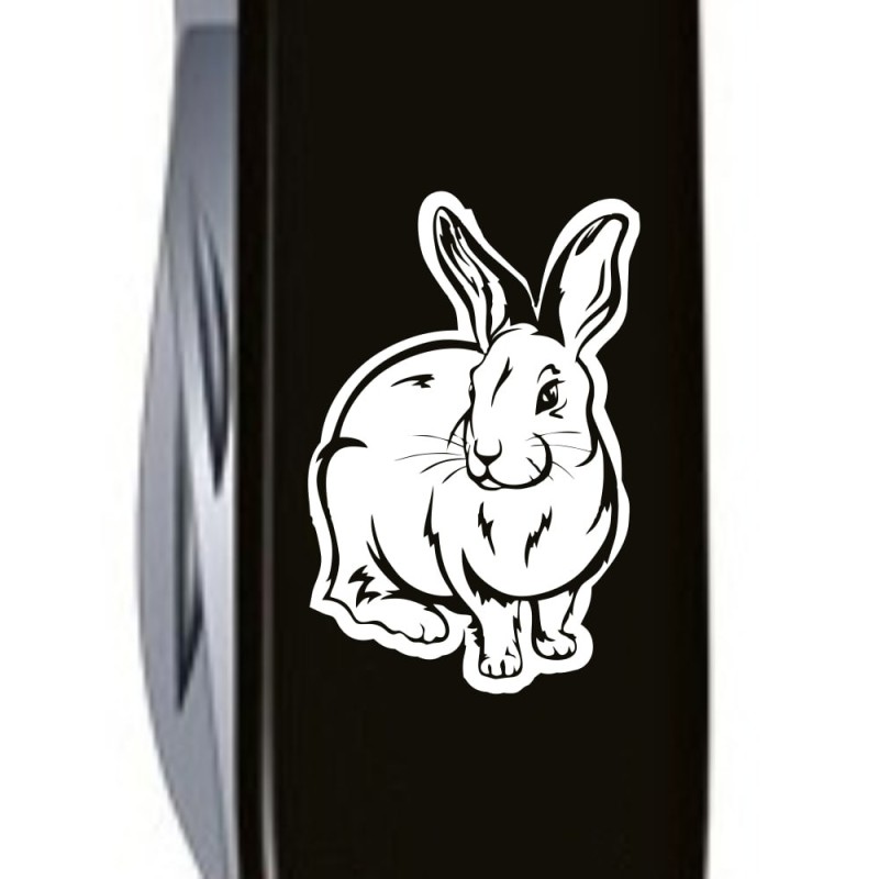 Швейцарский складной нож 91мм Victorinox SPARTAN ZODIAC 1.3603.3_Z2030u