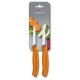 Набор ножей (2 шт) Victorinox SWISS CLASSIC Paring 6.7606.L119B
