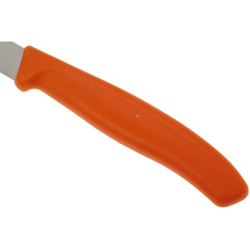 Набор ножей (2 шт) Victorinox SWISS CLASSIC Paring 6.7606.L119B