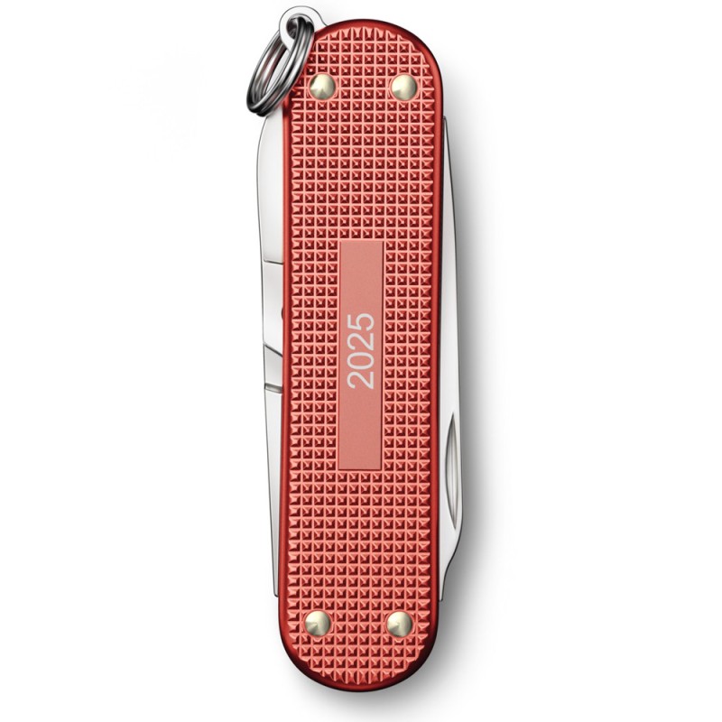 Швейцарский складной нож 58 мм Victorinox CLASSIC SD 0.6221.L25