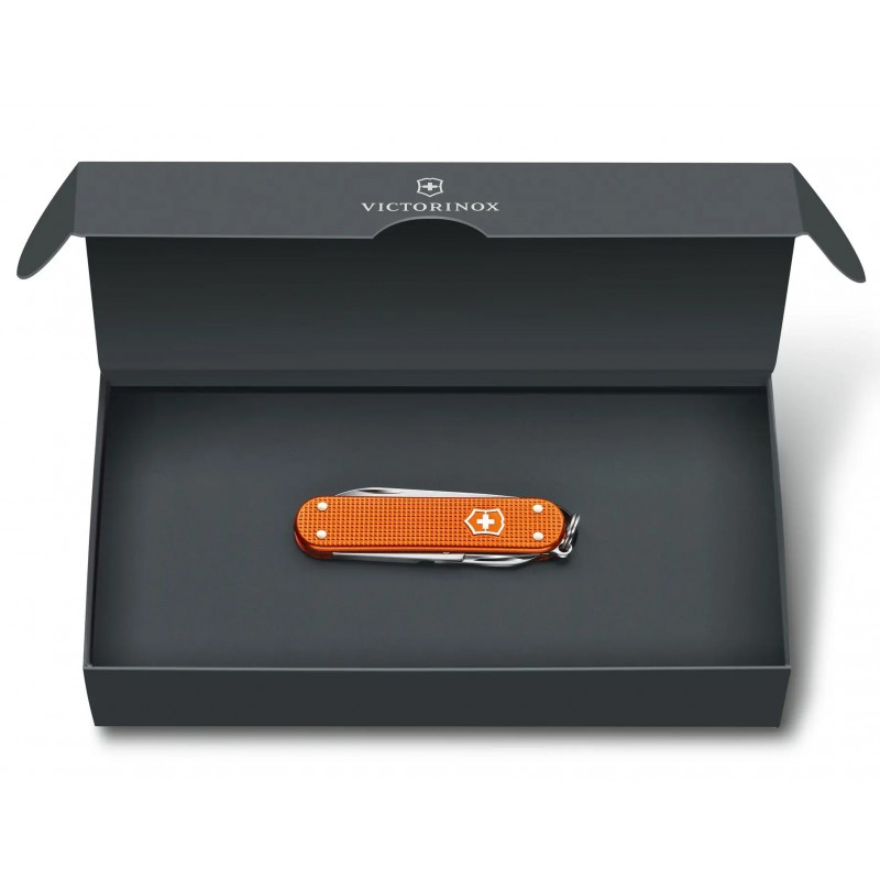 Швейцарский складной нож 58мм Victorinox CLASSIC Limited Edition 0.6221.L21