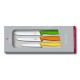 Набор кухонный Victorinox SWISS CLASSIC Paring Set 6.7116.31G