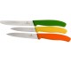 Набор кухонный Victorinox SWISS CLASSIC Paring Set 6.7116.31G