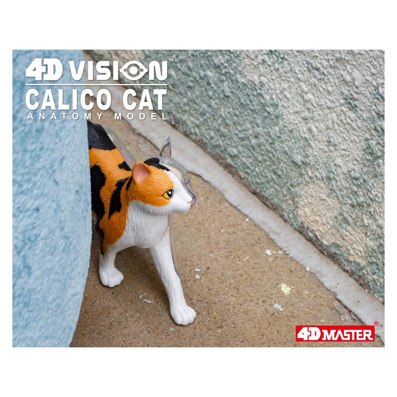 Об`ємна модель 4D Master Кіт