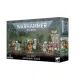 Набор миниатюр SANGUINARY GUARD