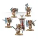 Набор миниатюр SANGUINARY GUARD
