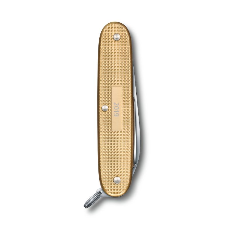 Складаний ніж Victorinox PIONEER Alox 0.8201.L19