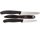 Набор кухонный Victorinox SWISS CLASSIC Paring Set 6.7113.31