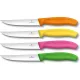 Кухонний набір Victorinox SWISS CLASSIC Steak And Pizza Block 6.7126.4