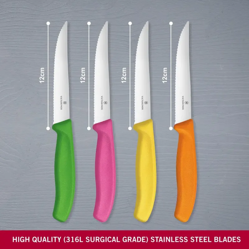 Кухонний набір Victorinox SWISS CLASSIC Steak And Pizza Block 6.7126.4