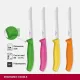 Кухонний набір Victorinox SWISS CLASSIC Steak And Pizza Block 6.7126.4